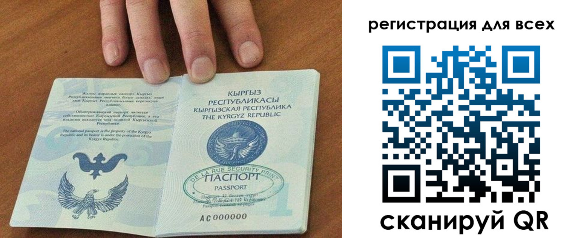 прописка для школы в Воронежской области