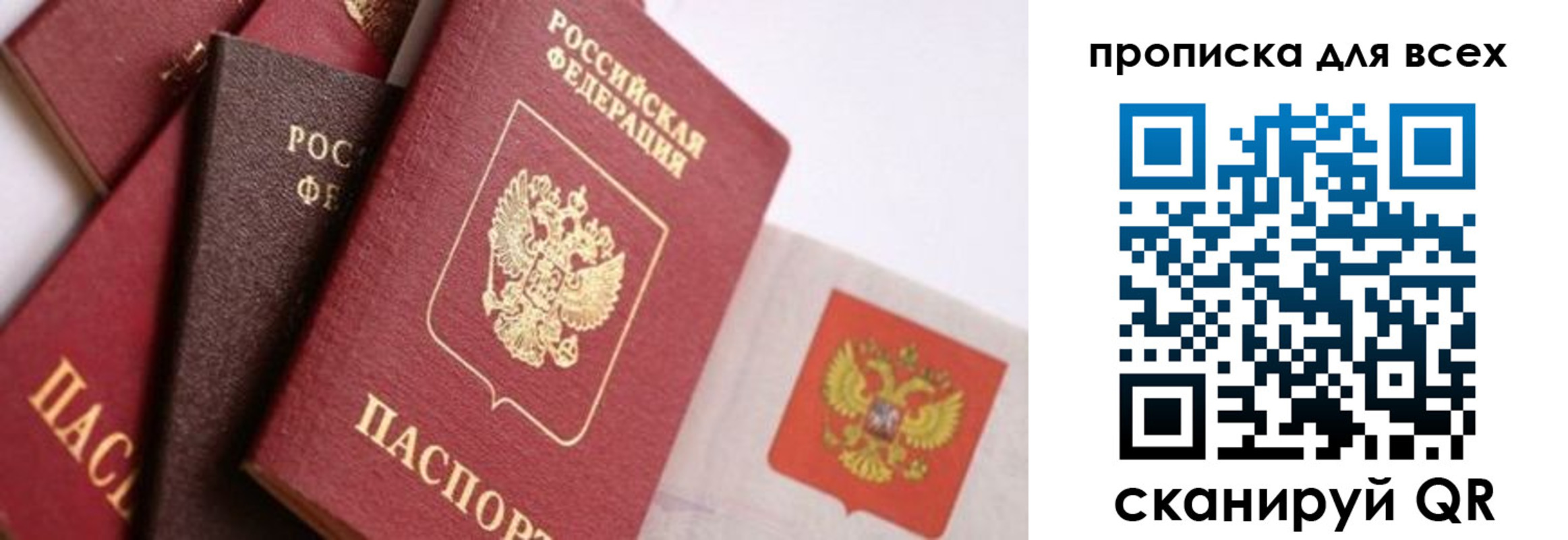временная регистрация поиск в Воронежской области